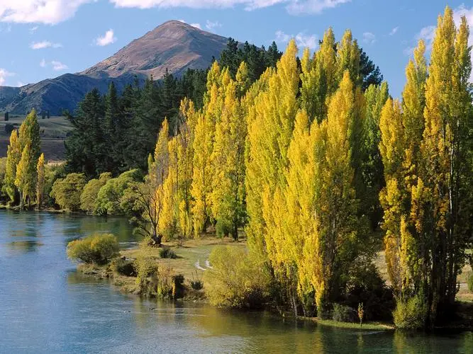 智能制造节能高精度